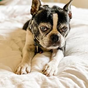 Meet your Posher, Elizabeth